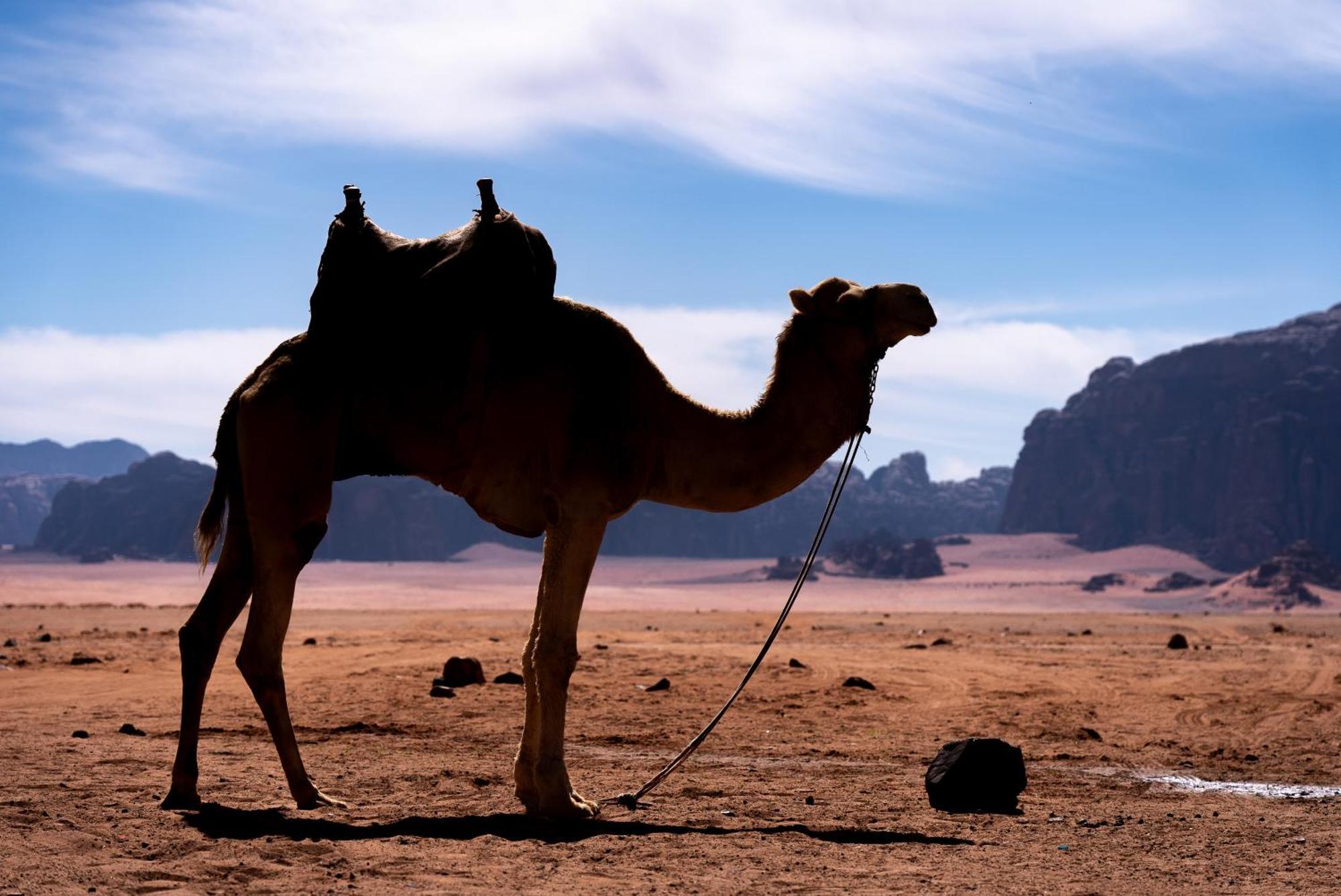Hotel Oblivion Camp Wadi Rum Exteriér fotografie